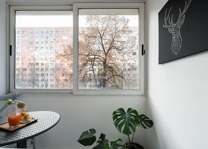 Ariel Dristor Apartment