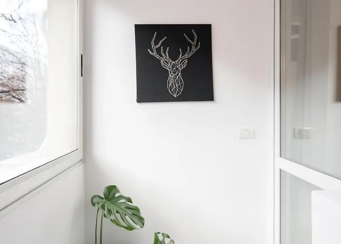 Apartment Ariel Dristor