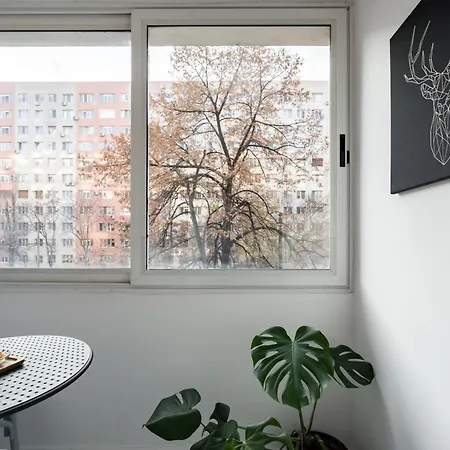 Ariel Dristor Apartment