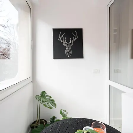 Apartment Ariel Dristor